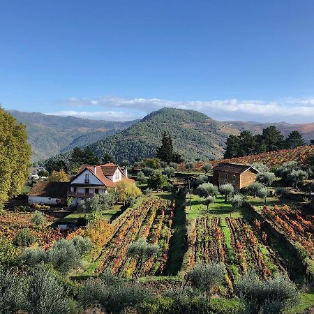 Quinta Vila Rachel - Winery Sao Mamede de Ribatua Eksteriør bilde