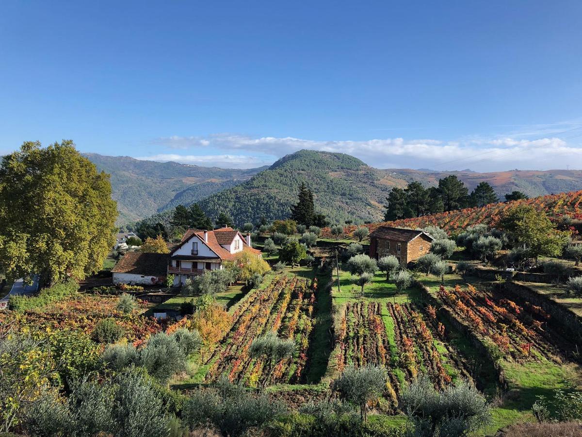 Quinta Vila Rachel - Winery Sao Mamede de Ribatua Eksteriør bilde