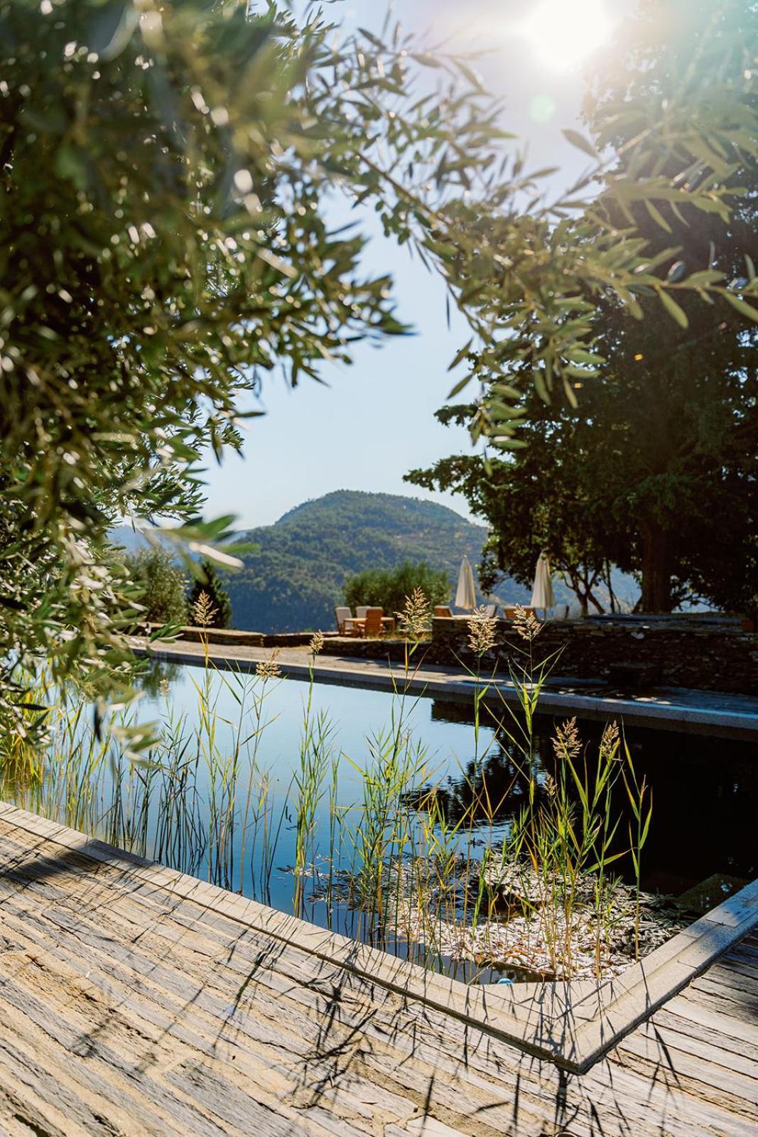 Quinta Vila Rachel - Winery Sao Mamede de Ribatua Eksteriør bilde