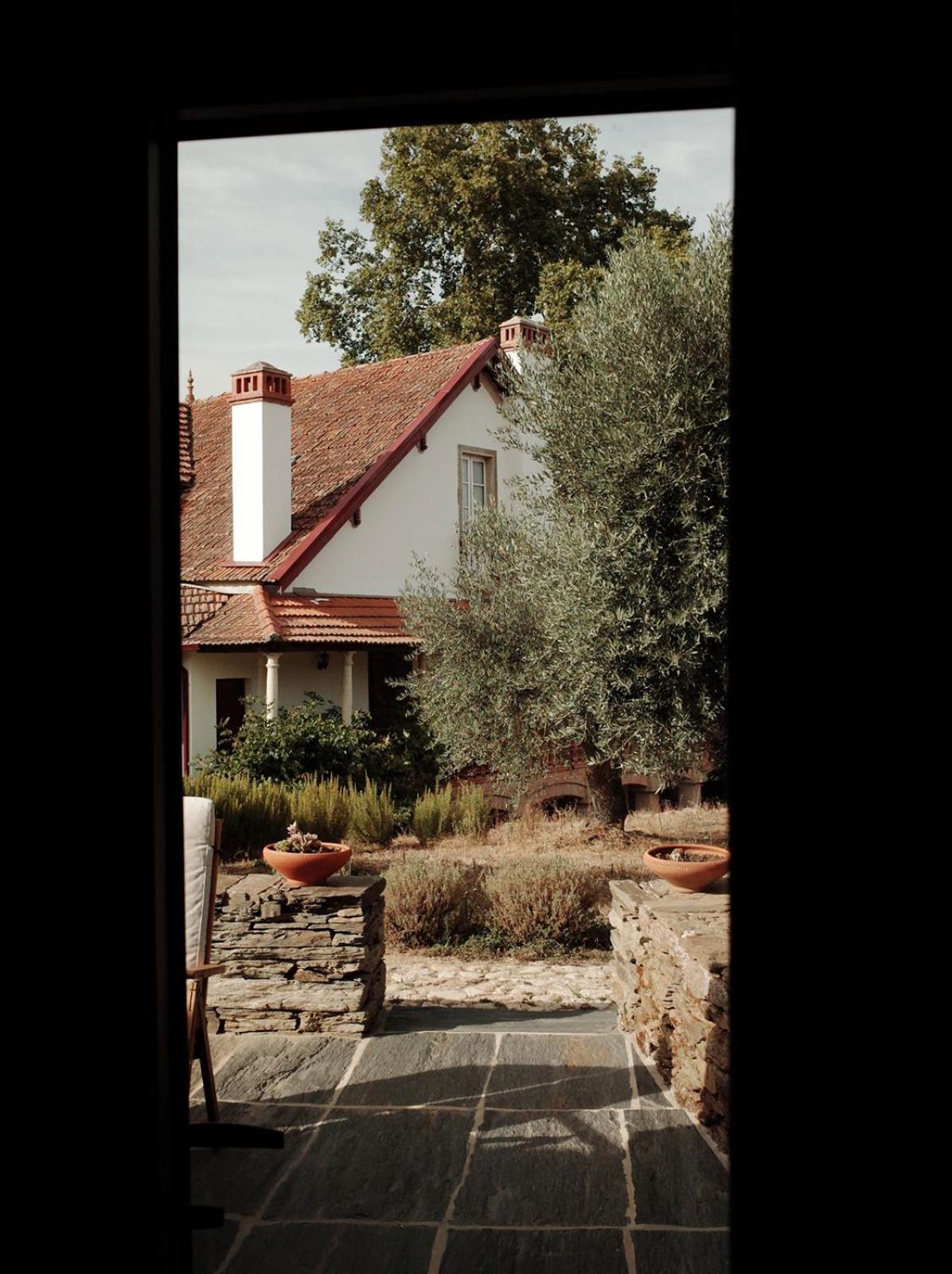 Quinta Vila Rachel - Winery Sao Mamede de Ribatua Eksteriør bilde
