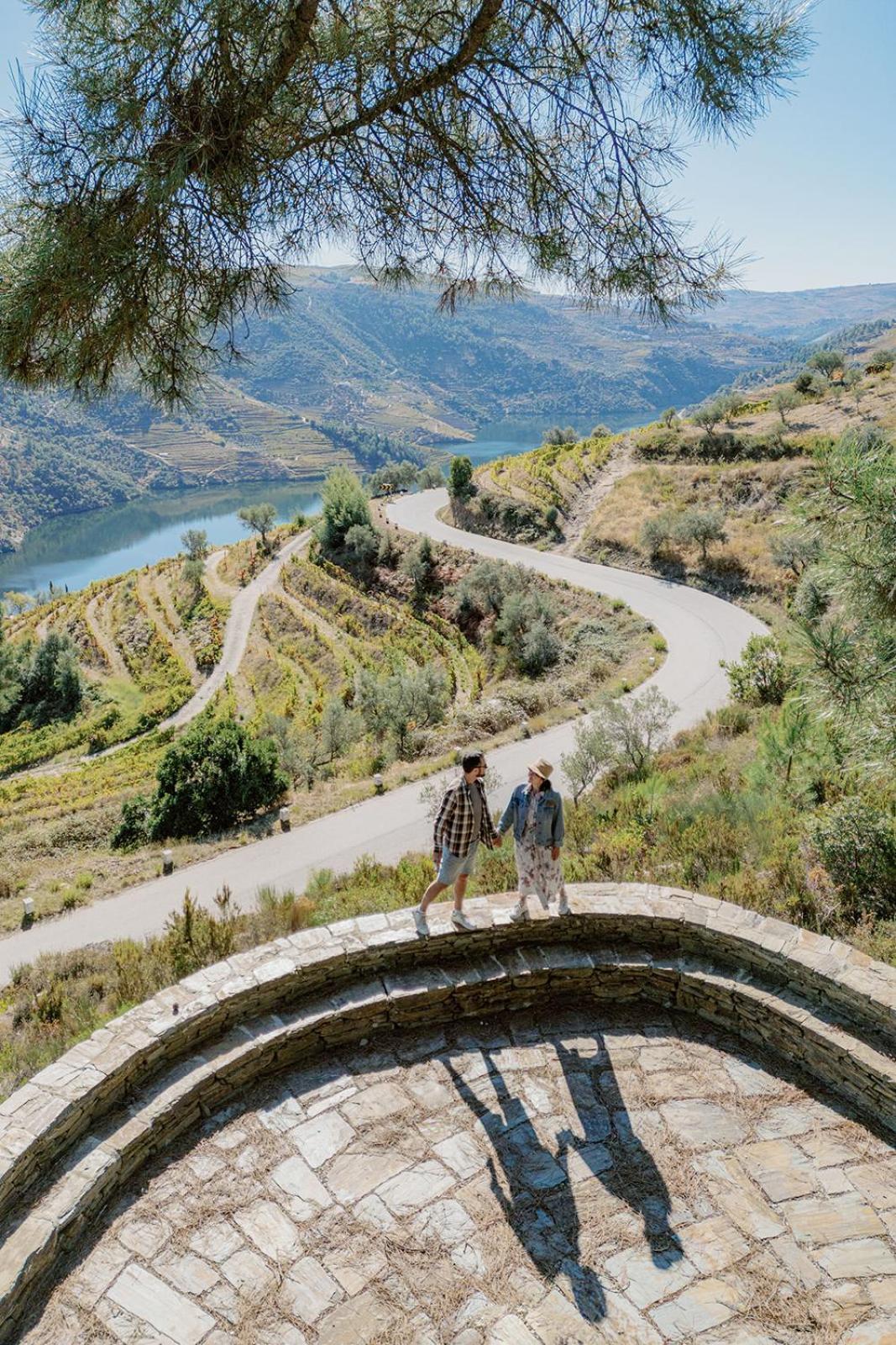 Quinta Vila Rachel - Winery Sao Mamede de Ribatua Eksteriør bilde